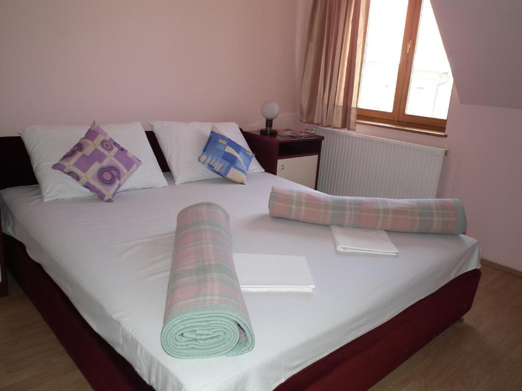 Nasa Tvrdava Guest Accommodation โนวีซาด ห้อง รูปภาพ