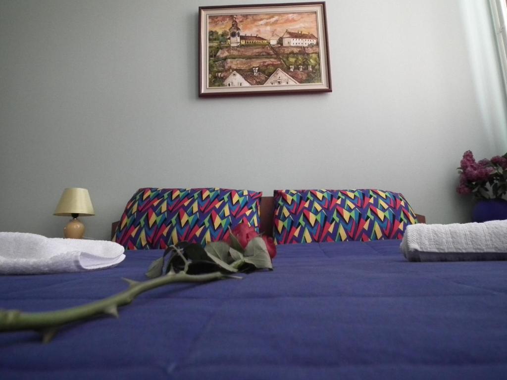 Nasa Tvrdava Guest Accommodation โนวีซาด ห้อง รูปภาพ